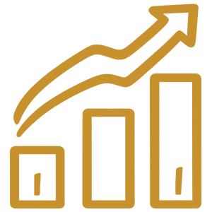 Accelerate icon
