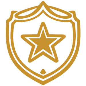 Impact icon
